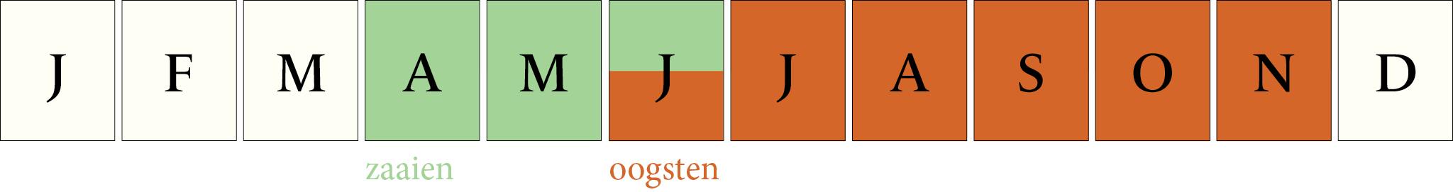 Zaaikalender Snijbiet Bright Lights