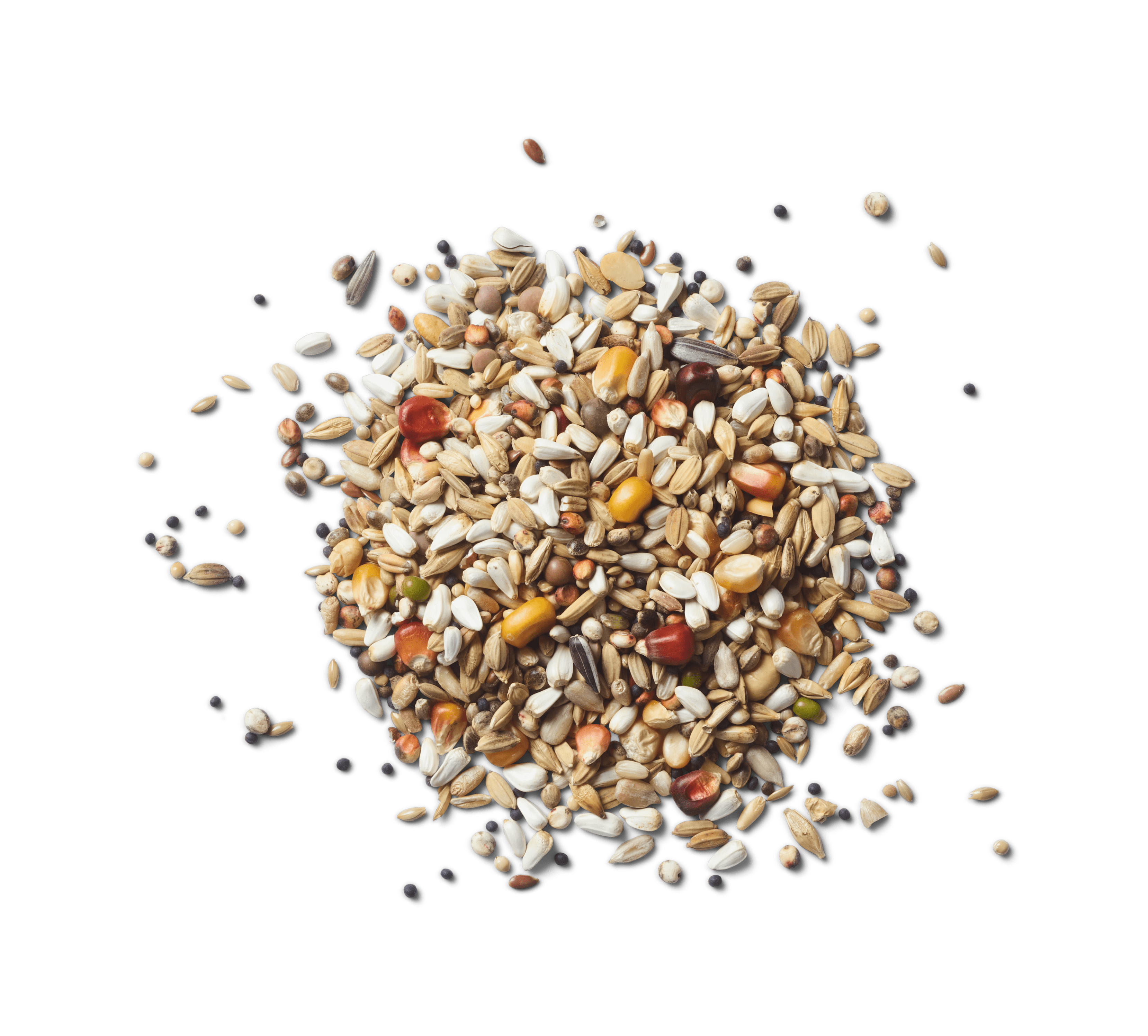 Graan Power Balance foodshot