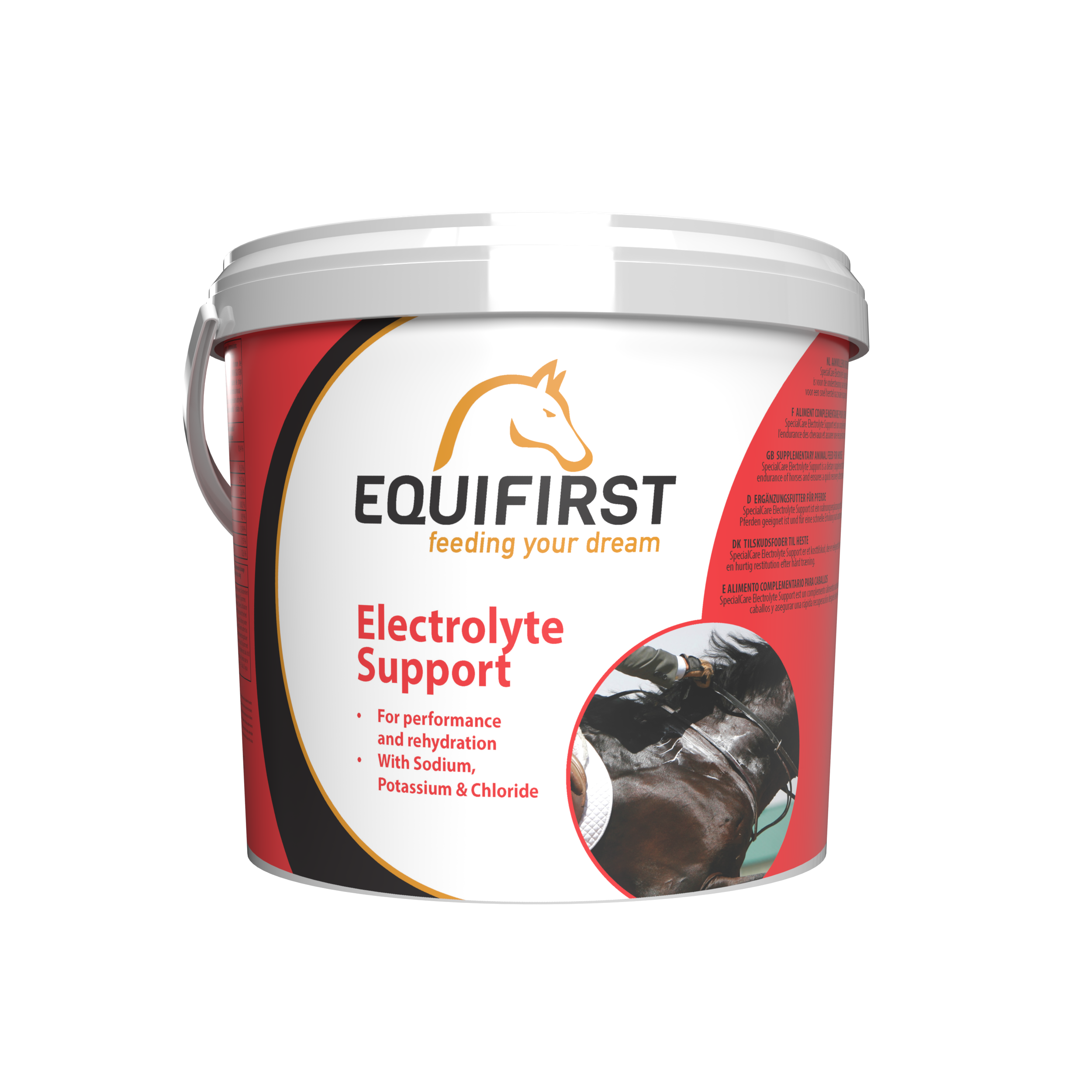 Electrolyte Support