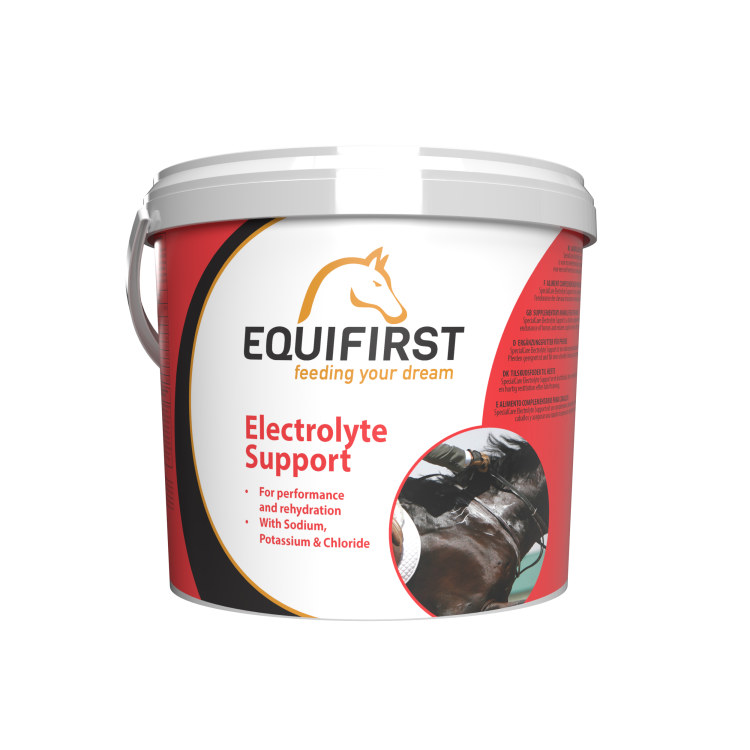 Electrolyte Support