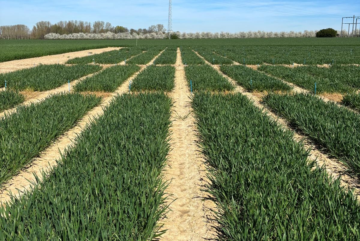 Agro Experience 2026 - openvelddagen 