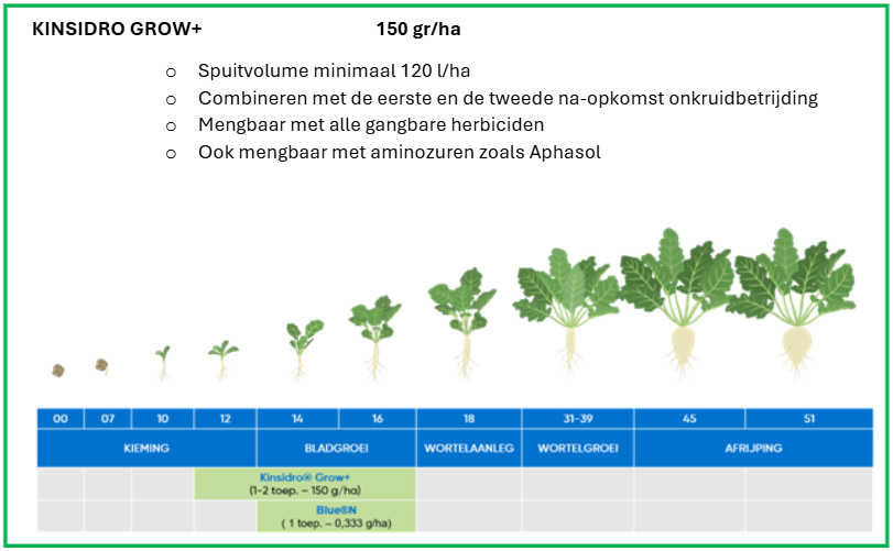27.03.2026_Nieuwsbrief AH_Bieten en cichorei: ondersteun jouw onkruidbestrijding met Kinsidro Grow+ I1