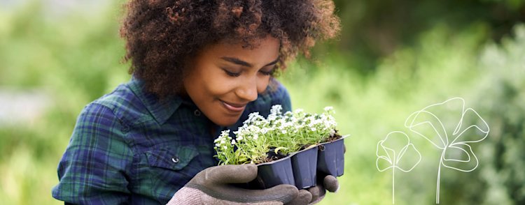 femme siertuin