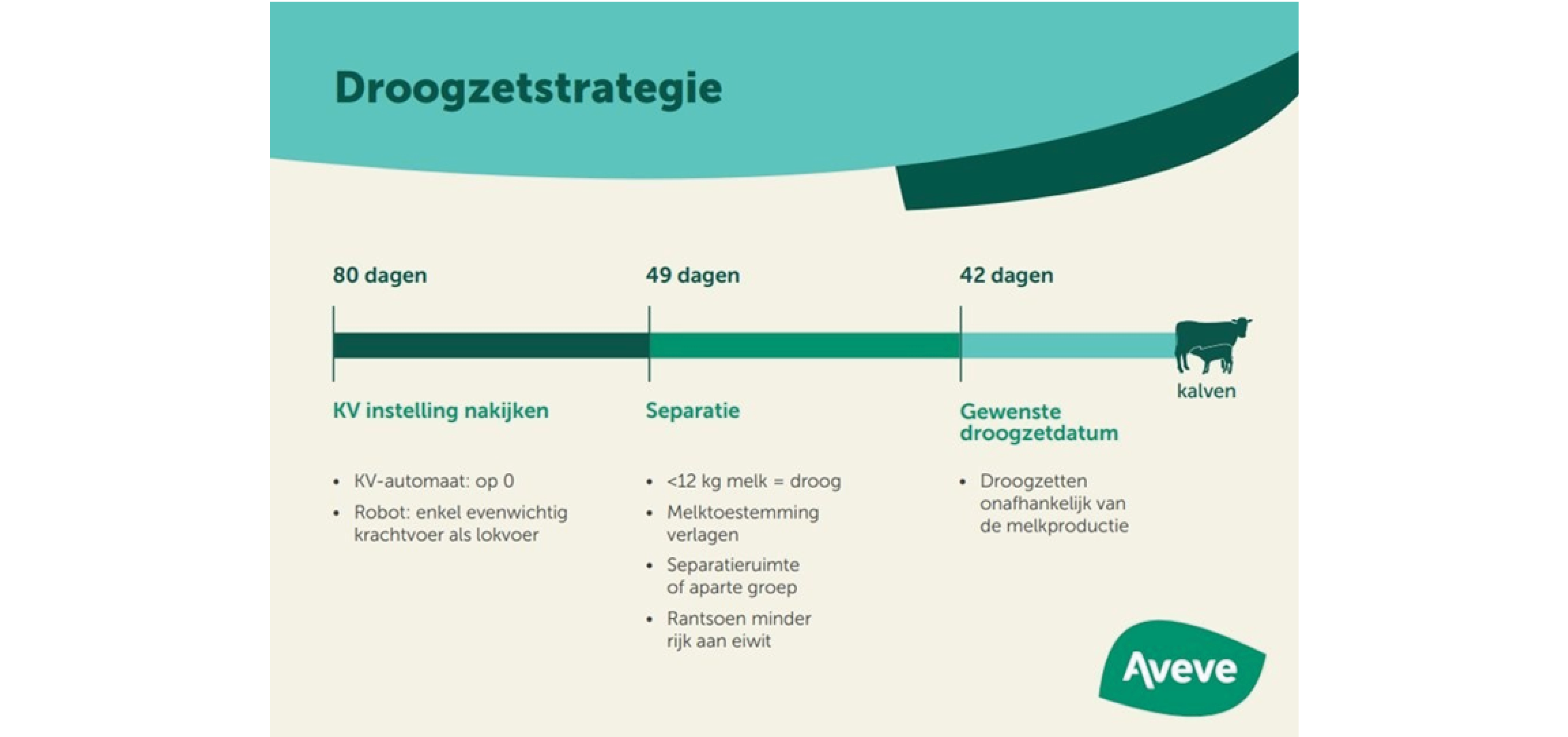 Melkvee - droogzetstrategie 968x455px
