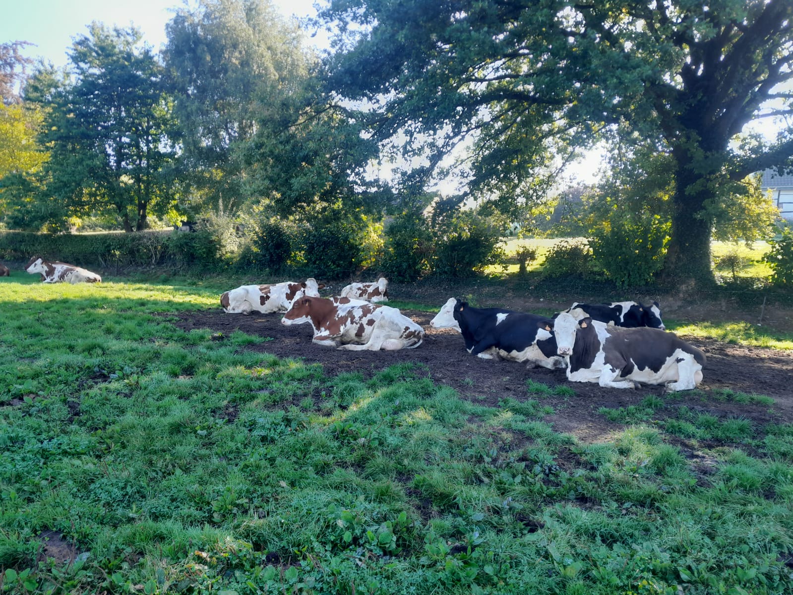 01.10.2025_Nieuwsbrief_AN_ProLac