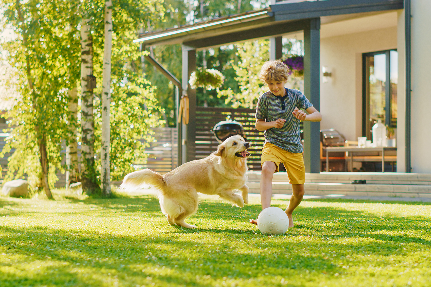 Hond en baasje spelen samen – Aveve