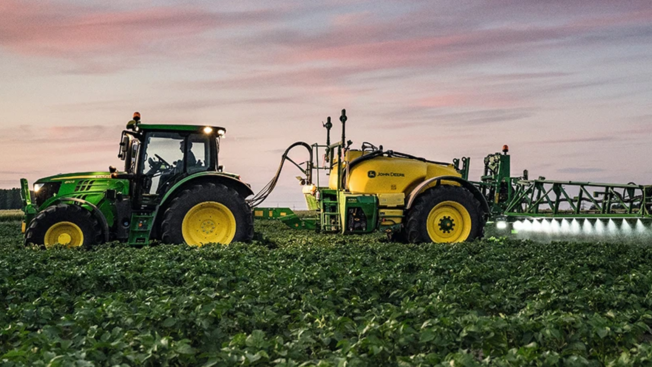 Ruwvoer - Lente - Gewasbescherming  