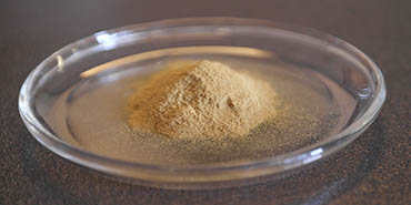 pellet