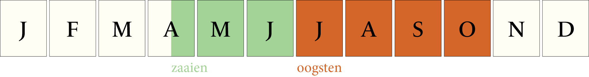 Toepassingsperiode: Courgette Ronde de Nice