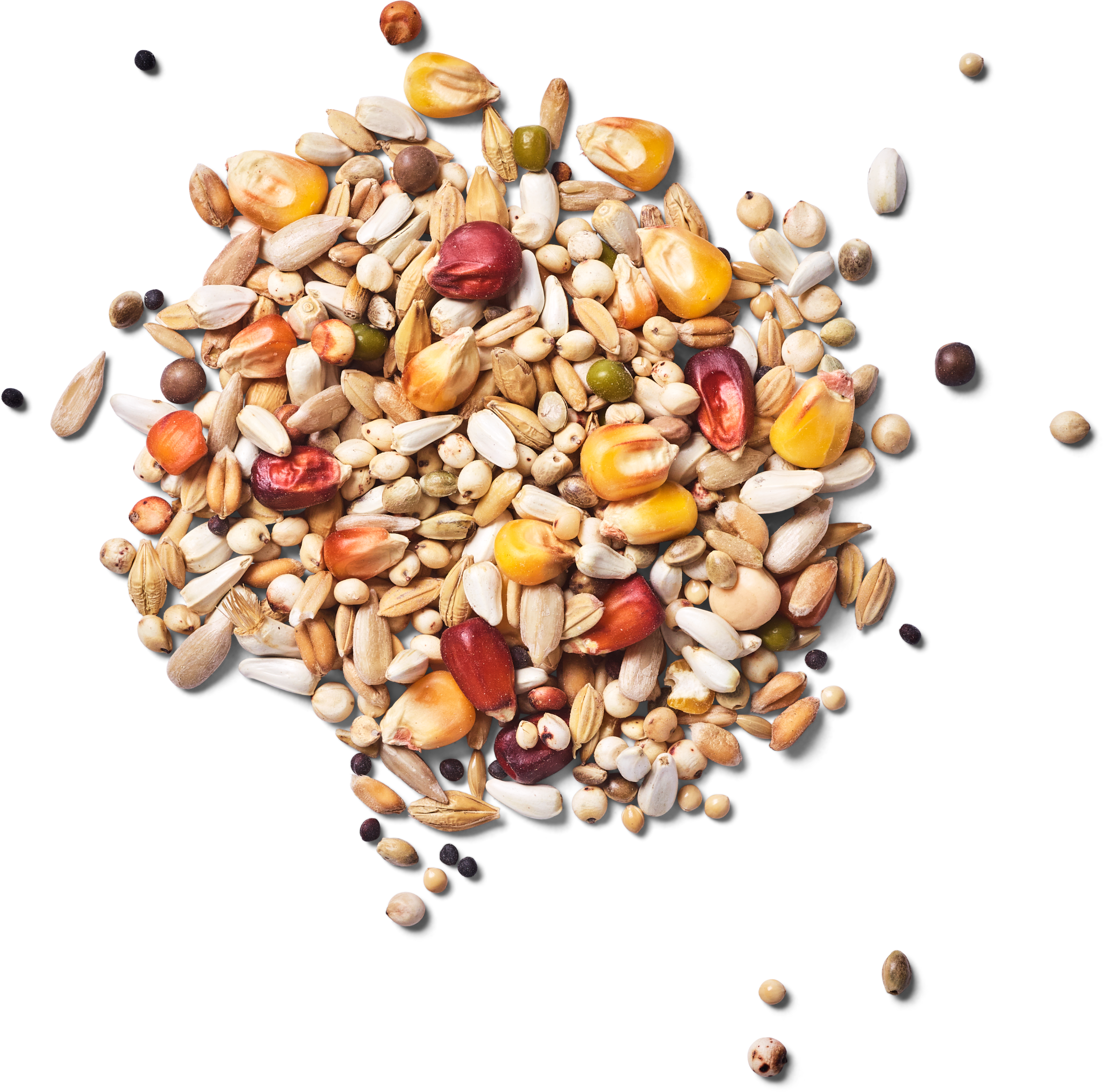 Green Power Flex Foodshot