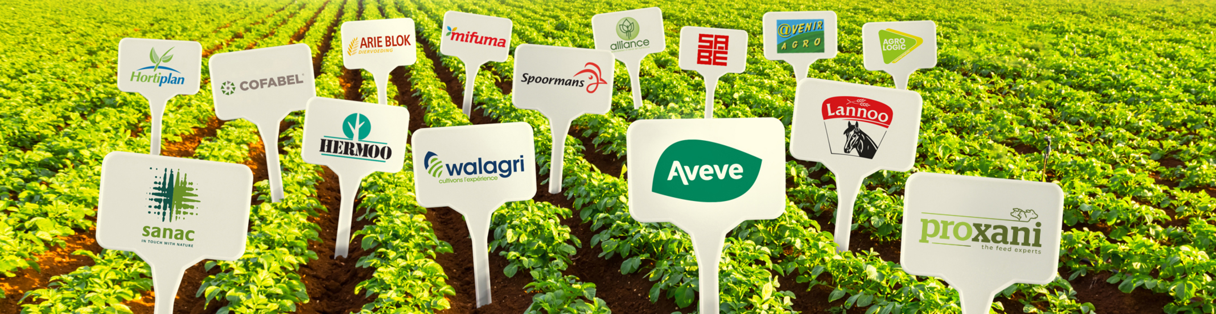 Arvesta merken 968x250px