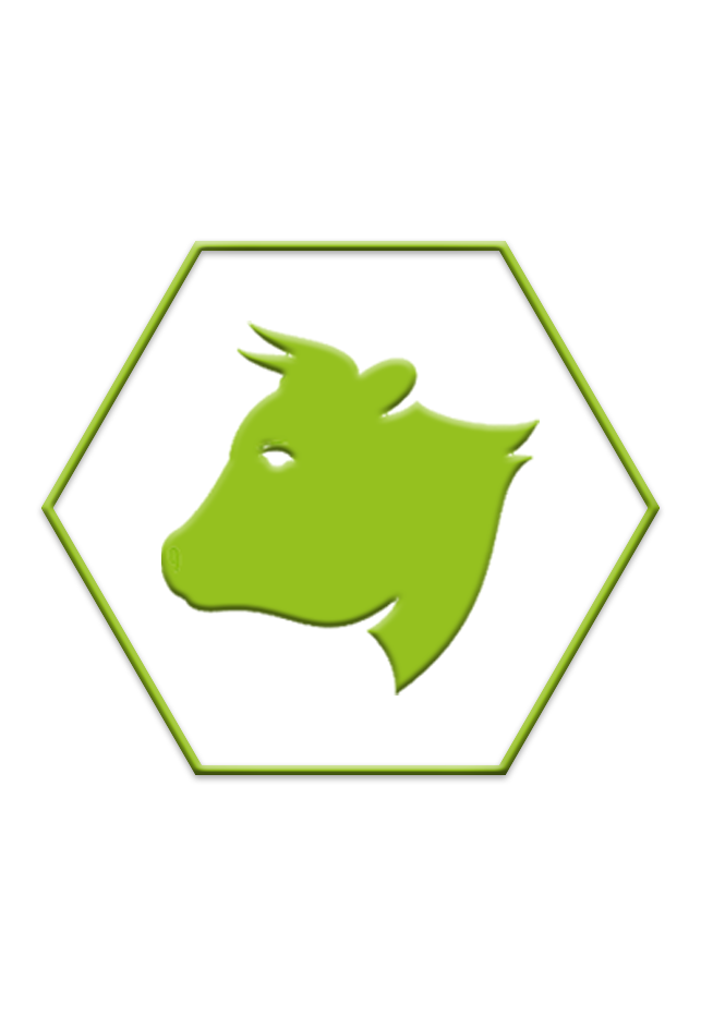 Ruminants animal page image