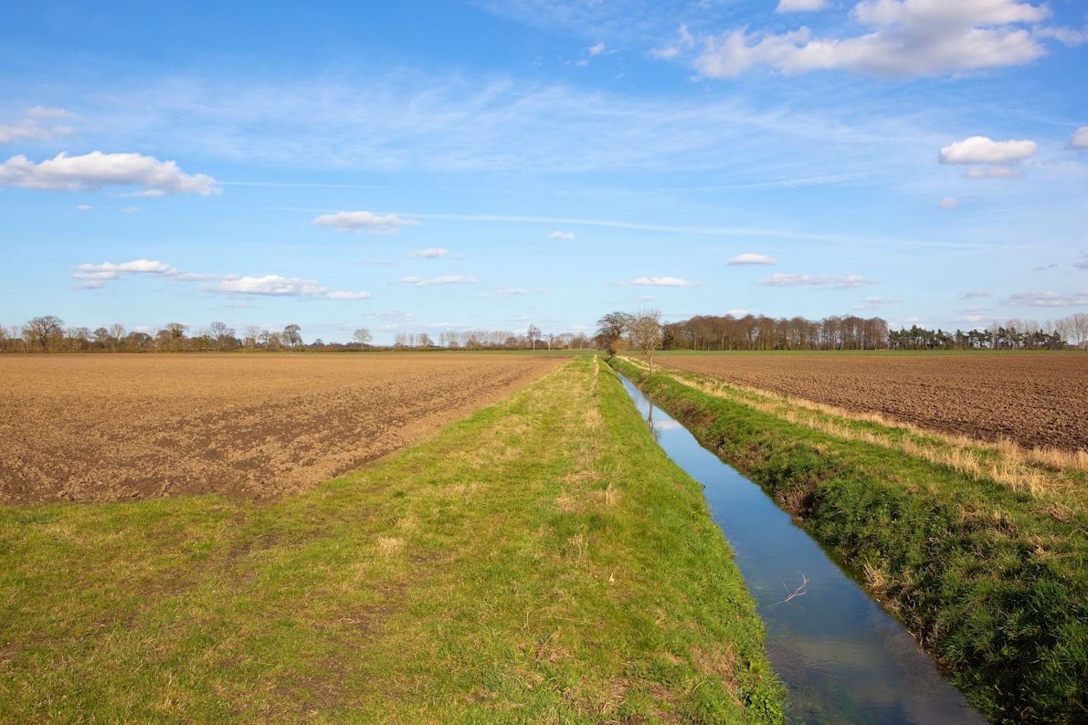 25.02.2026_Nieuwsbrief AH_Beheer van jouw beschermingsstrook