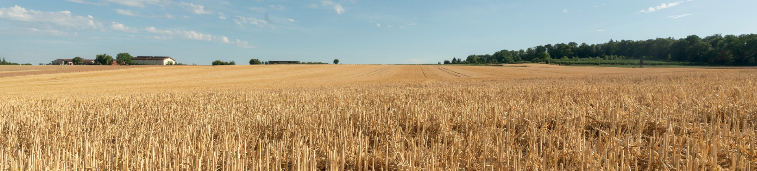 Mangaan banner 1920x435px