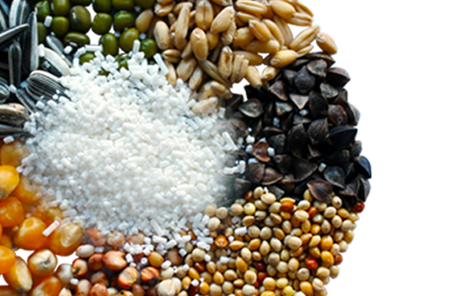 Palital Butyrate products