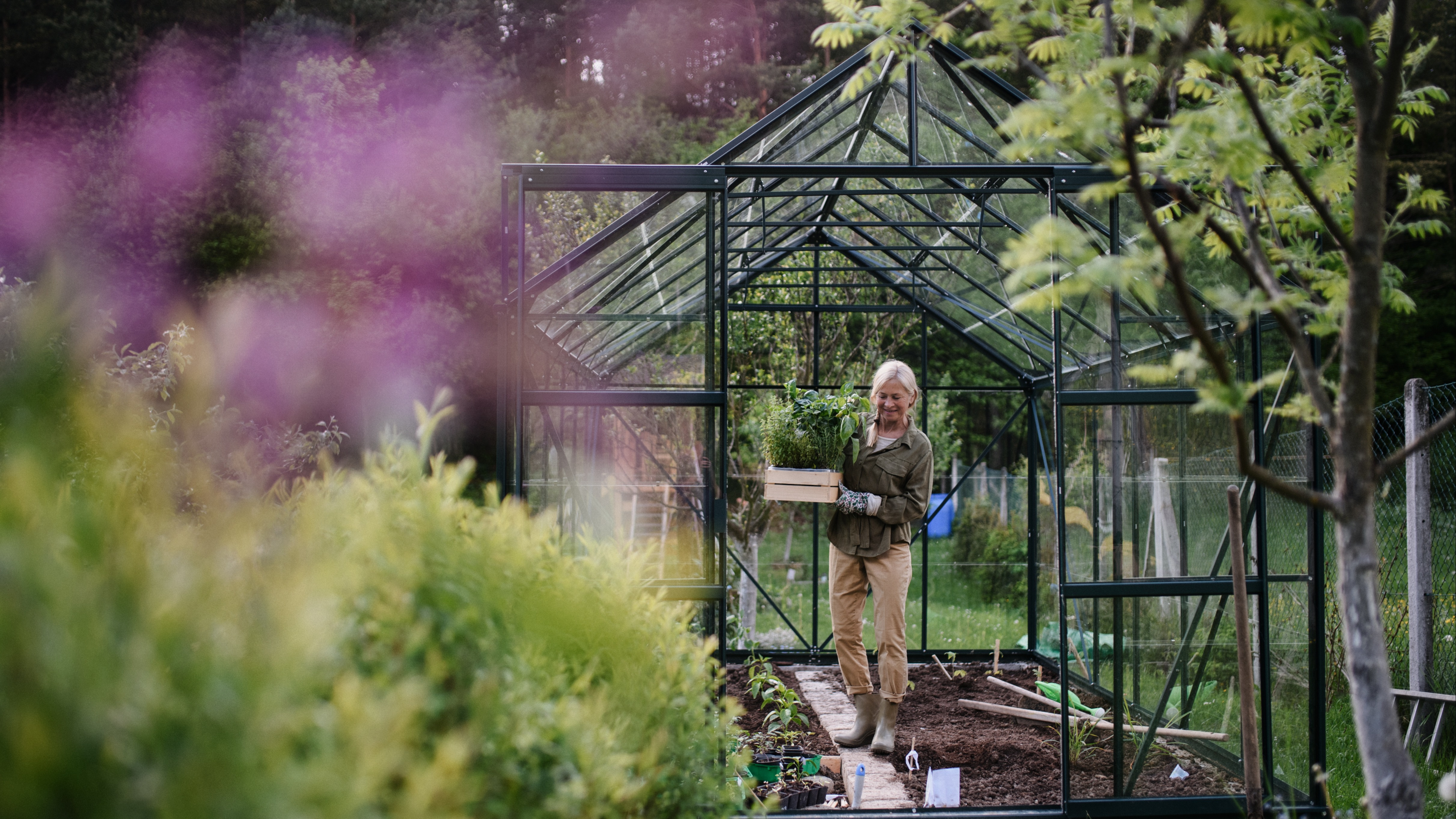 Alles voor je tuin aveve serres