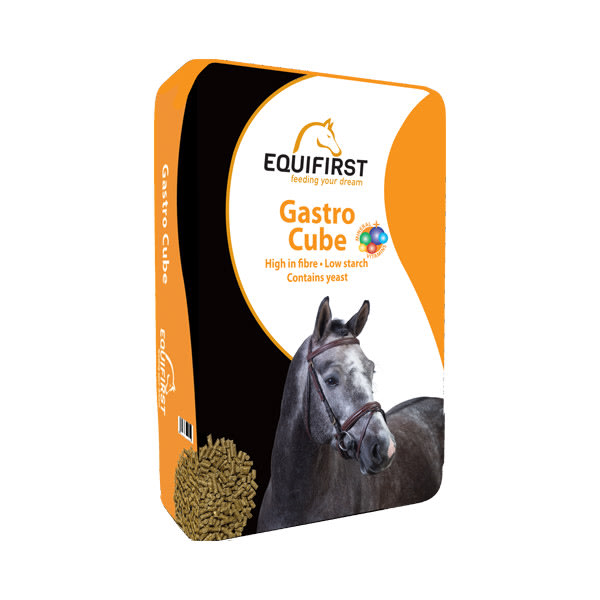 EquiFirst Gastro Cube