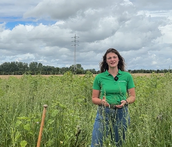 Carbon Farming - Lotte De Vos