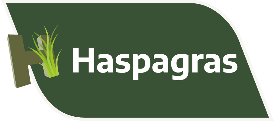 12.02.2026_Nieuwsbrief AH_Haspagras: de allround basisbemesting voor een optimale grasgroei I&T1