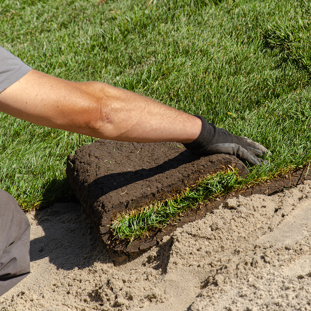 Grasmatten leggen - Aveve