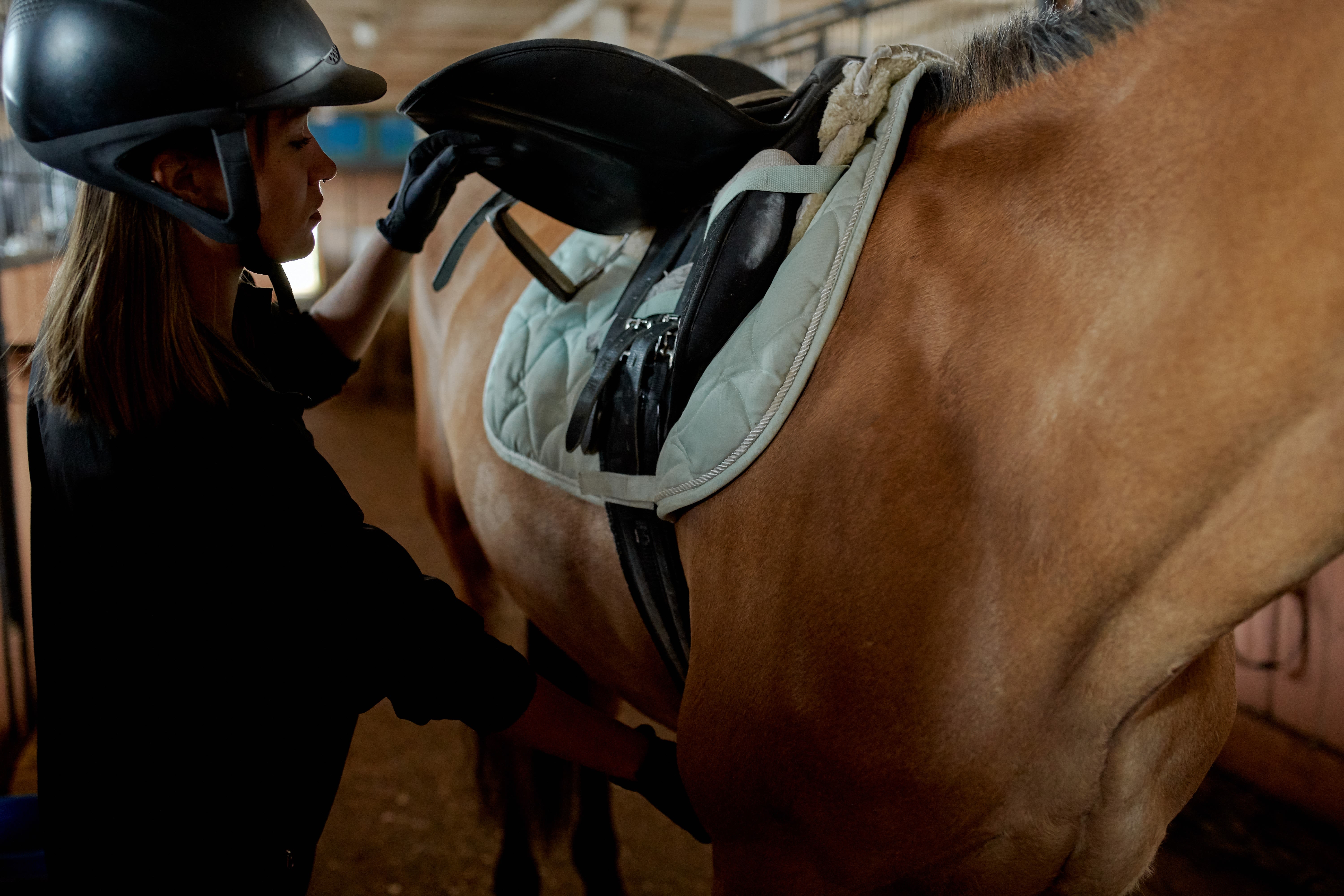 Alles voor paarden aveve stalbenodigdheden