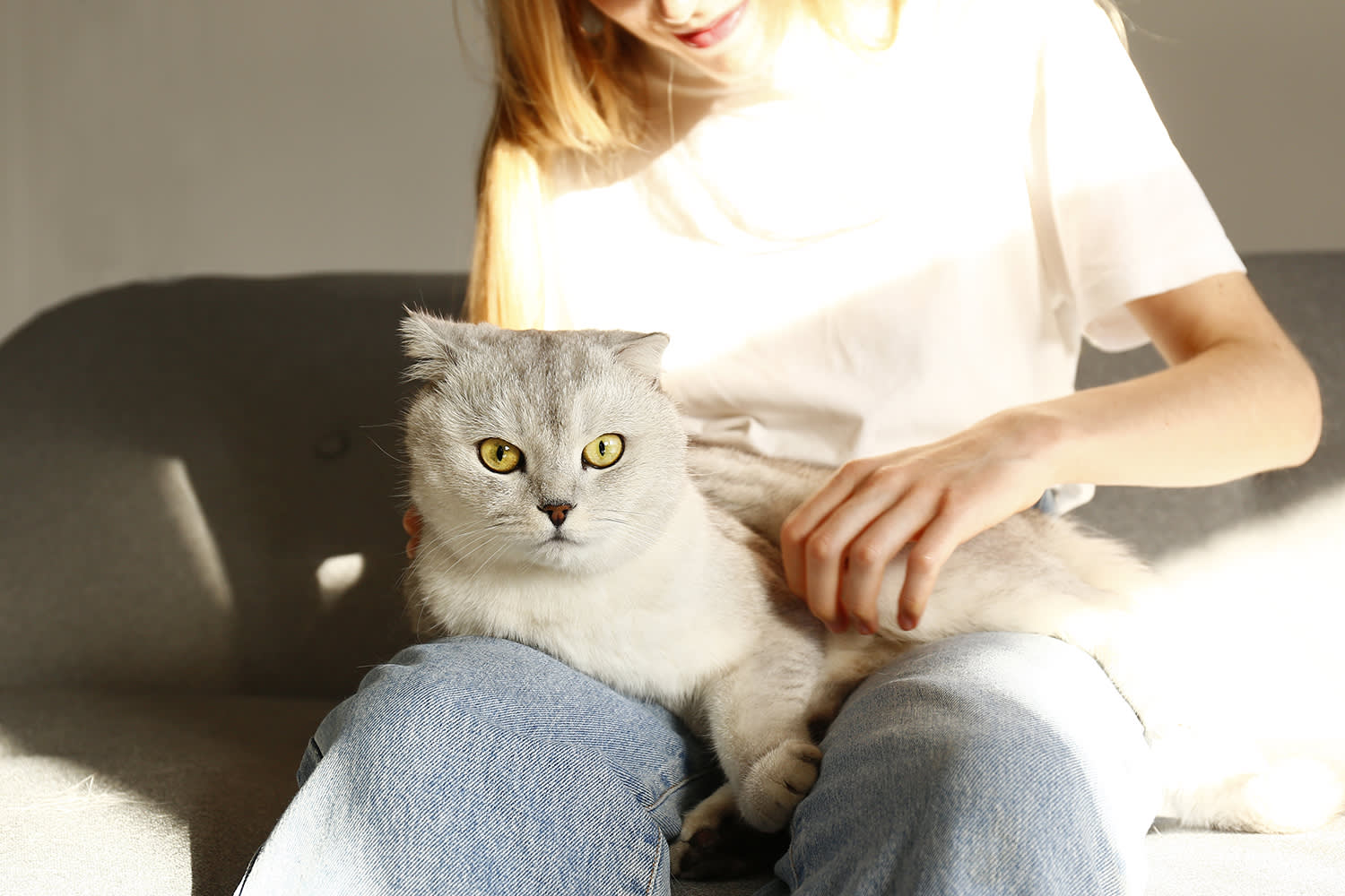 Propriétaire avec son chat sur les genoux – Aveve