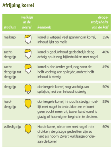 Schema afrijping korrel