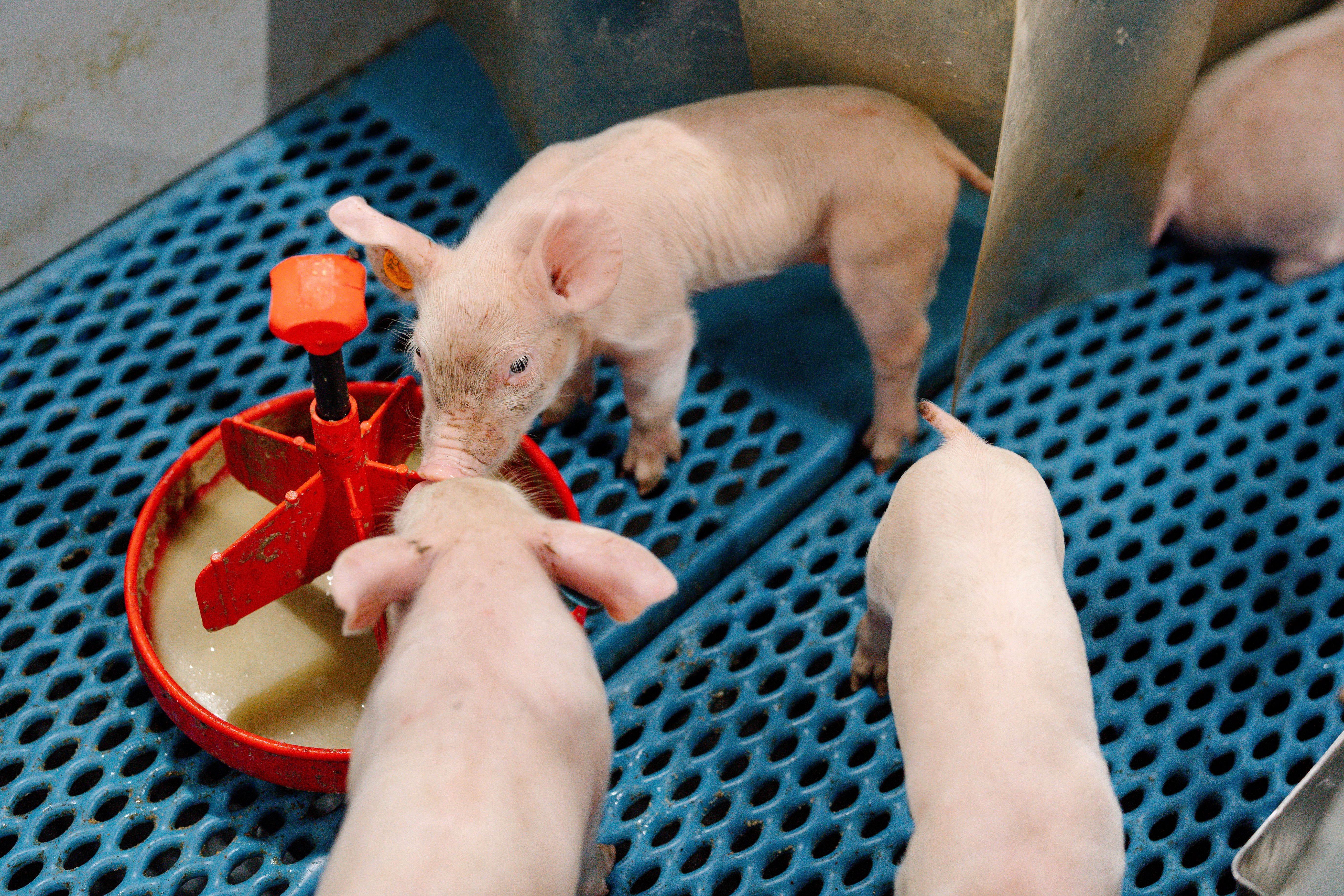 25.06.2025_Nieuwsbrief_AN