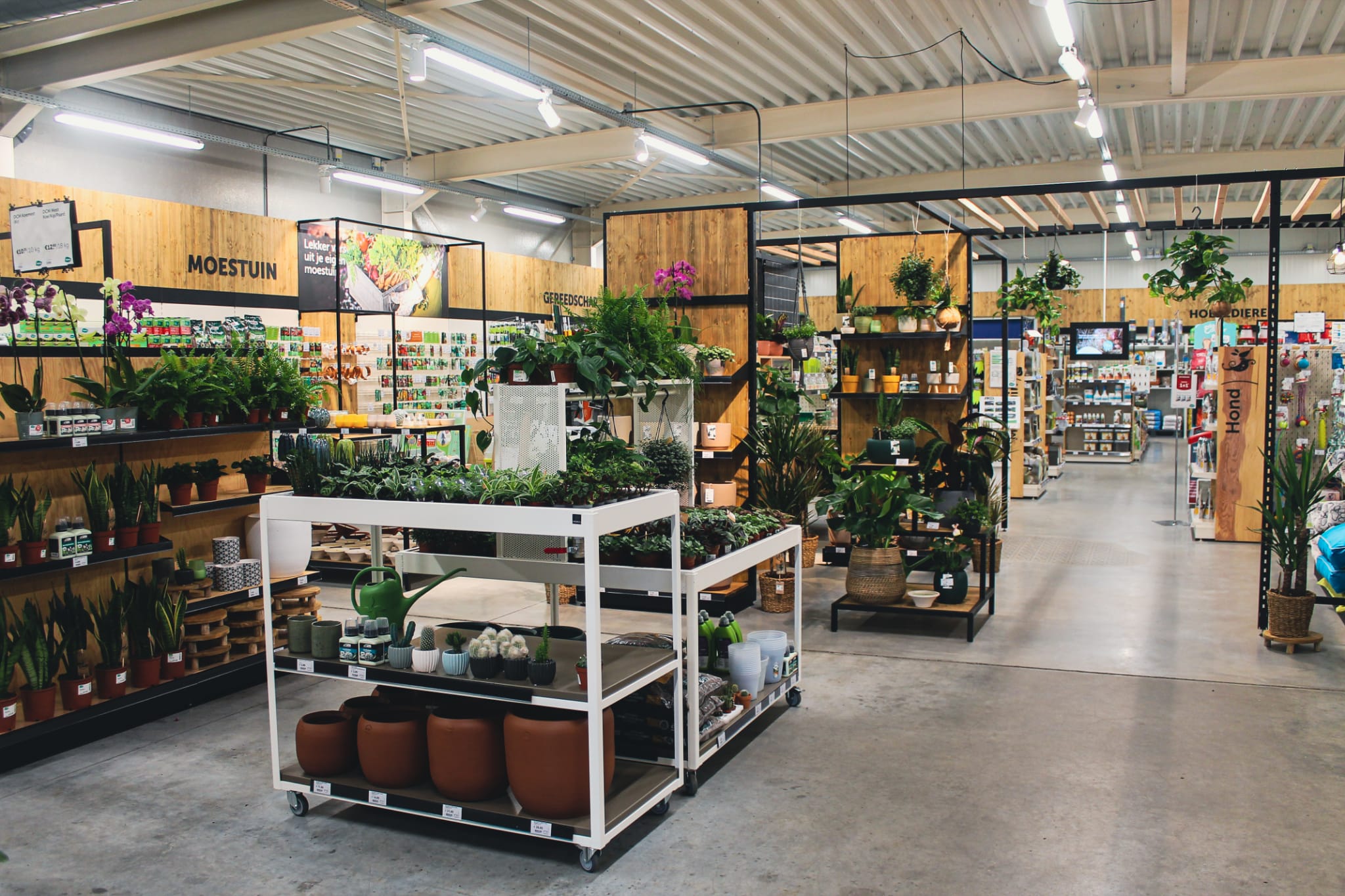 Aveve_magasin_Oostrozebeke_interior