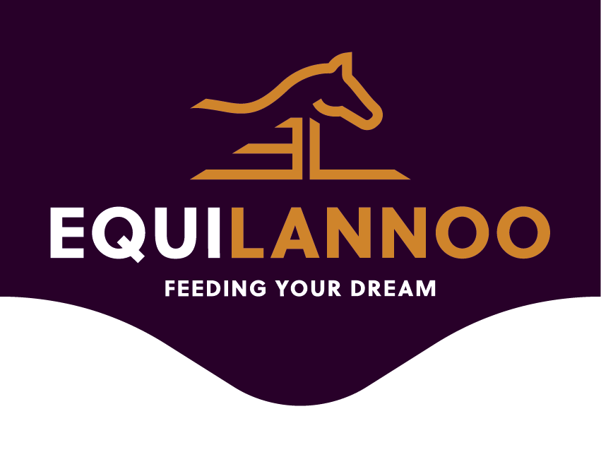 Logo Equilannoo
