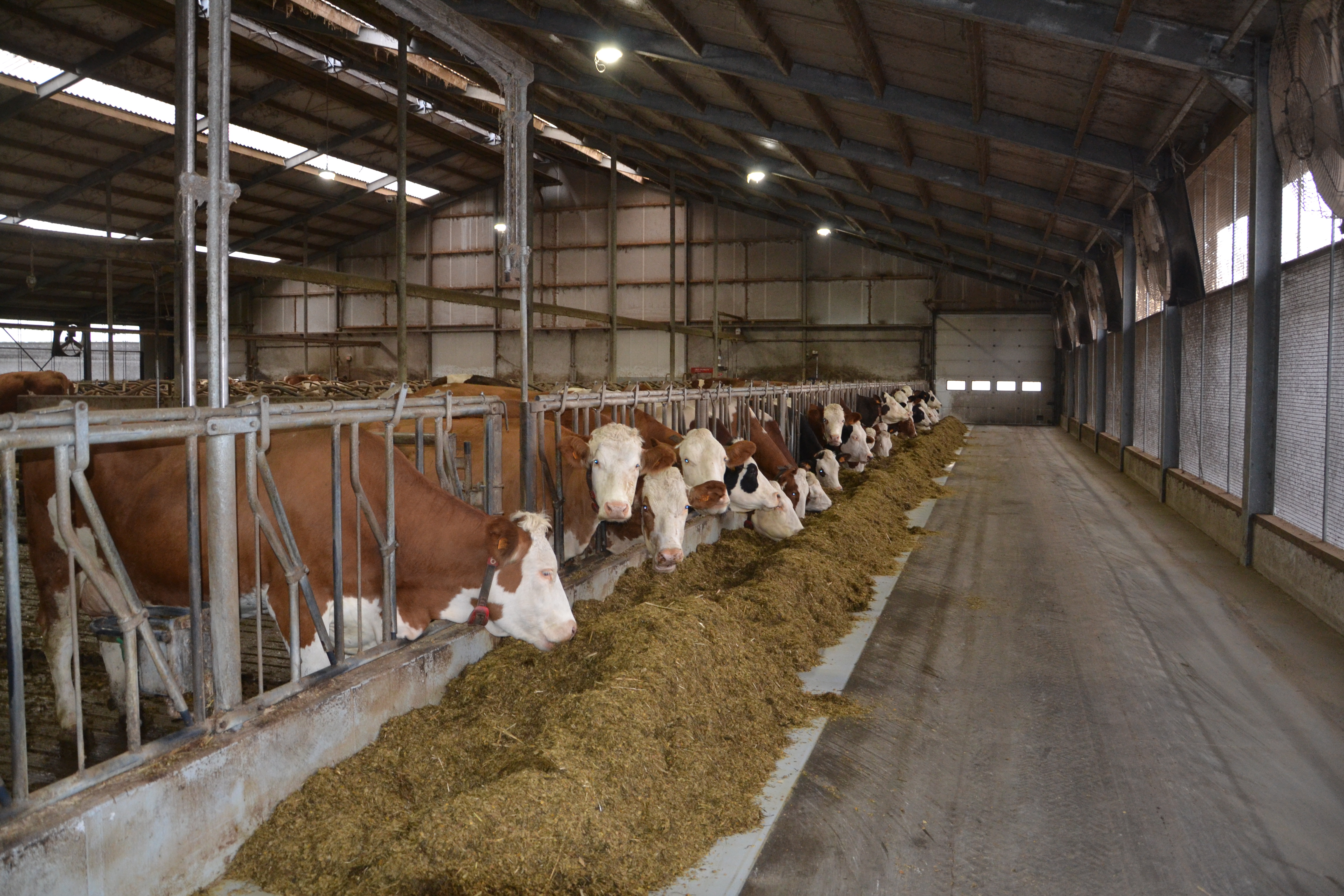 21.02.2025_AN_Nieuwsbrief_Link2Milk_Claesen