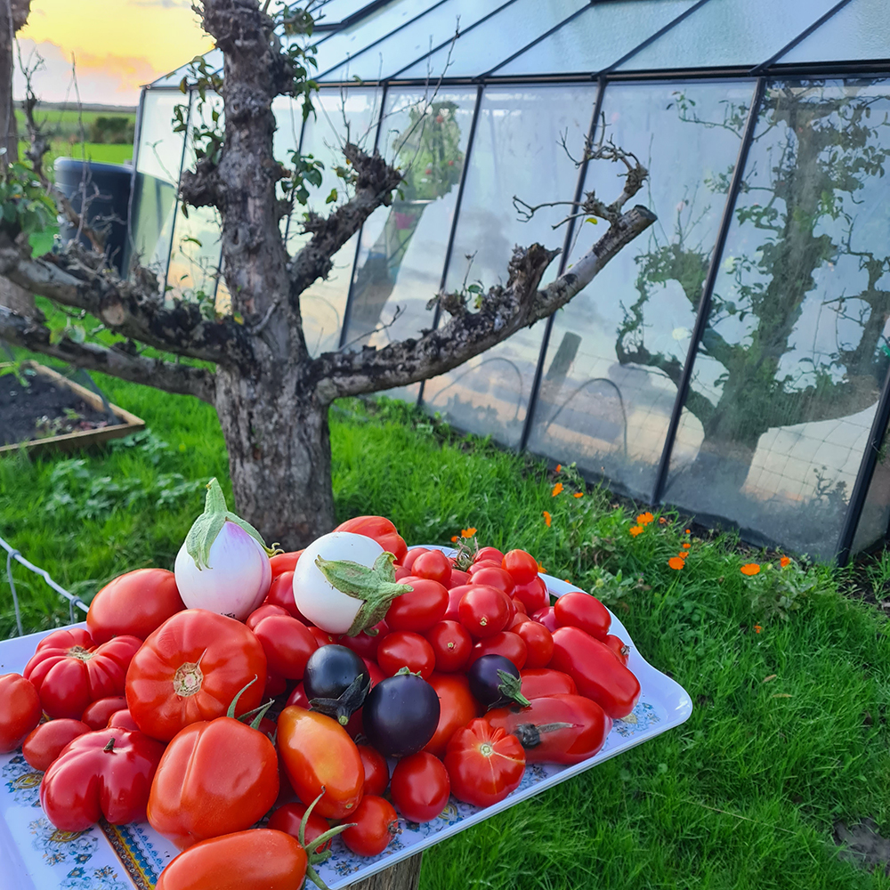 Découvrez la serre de jardin la plus flexible, modèle extra-haut et choisissez l'emplacement de la porte.