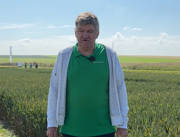 Gele roest in wintertarwe - Jean Hardy