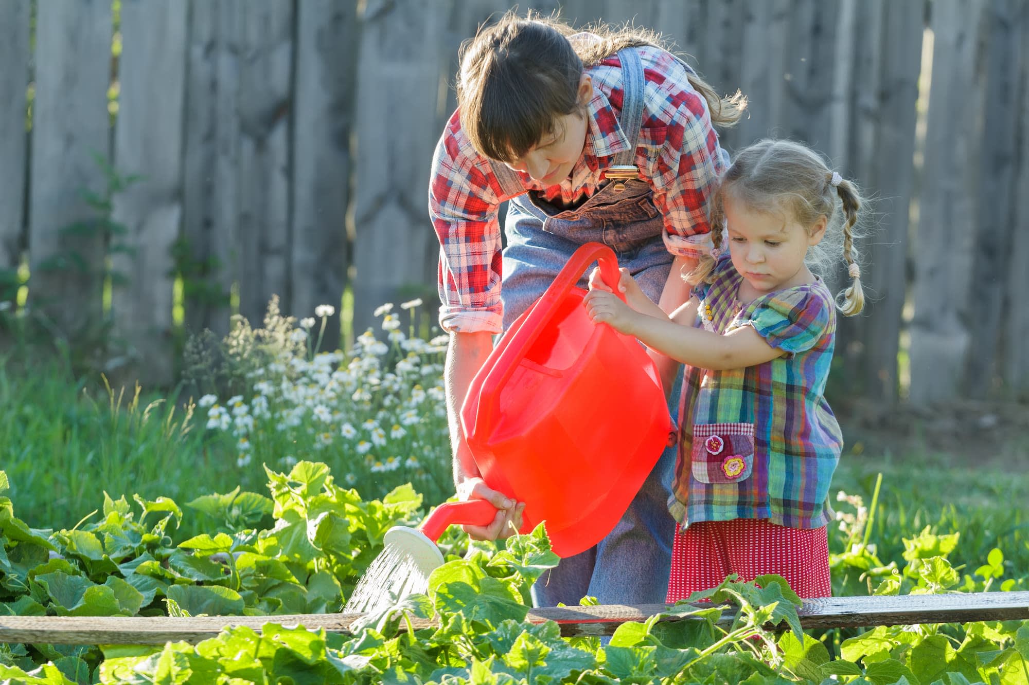 Afbeelding van een kindje dat met een gieter planten in een moestuin water geeft