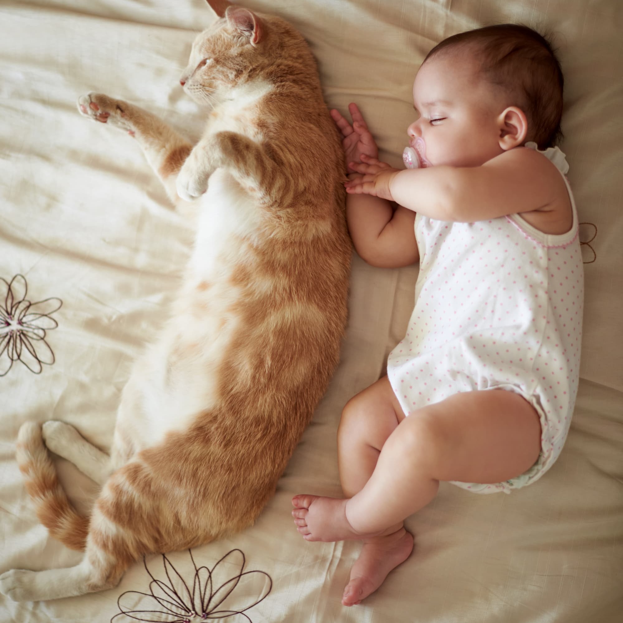 Baby en kat - Aveve