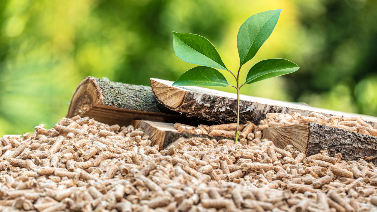 Spécifications Techniques