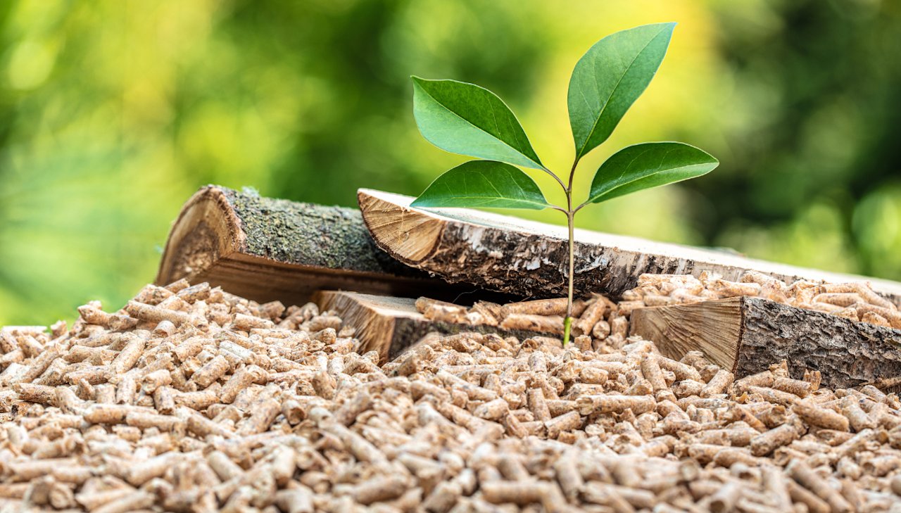 Spécifications Techniques