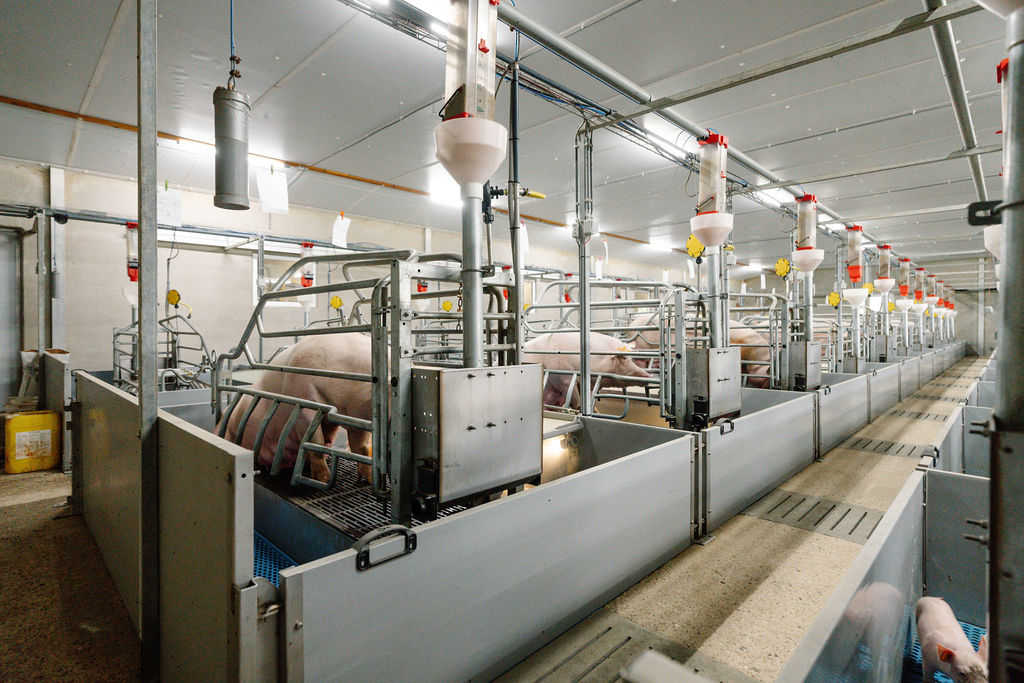 3.12.2025_Nieuwsbrief_AN_drinkwater zeugen