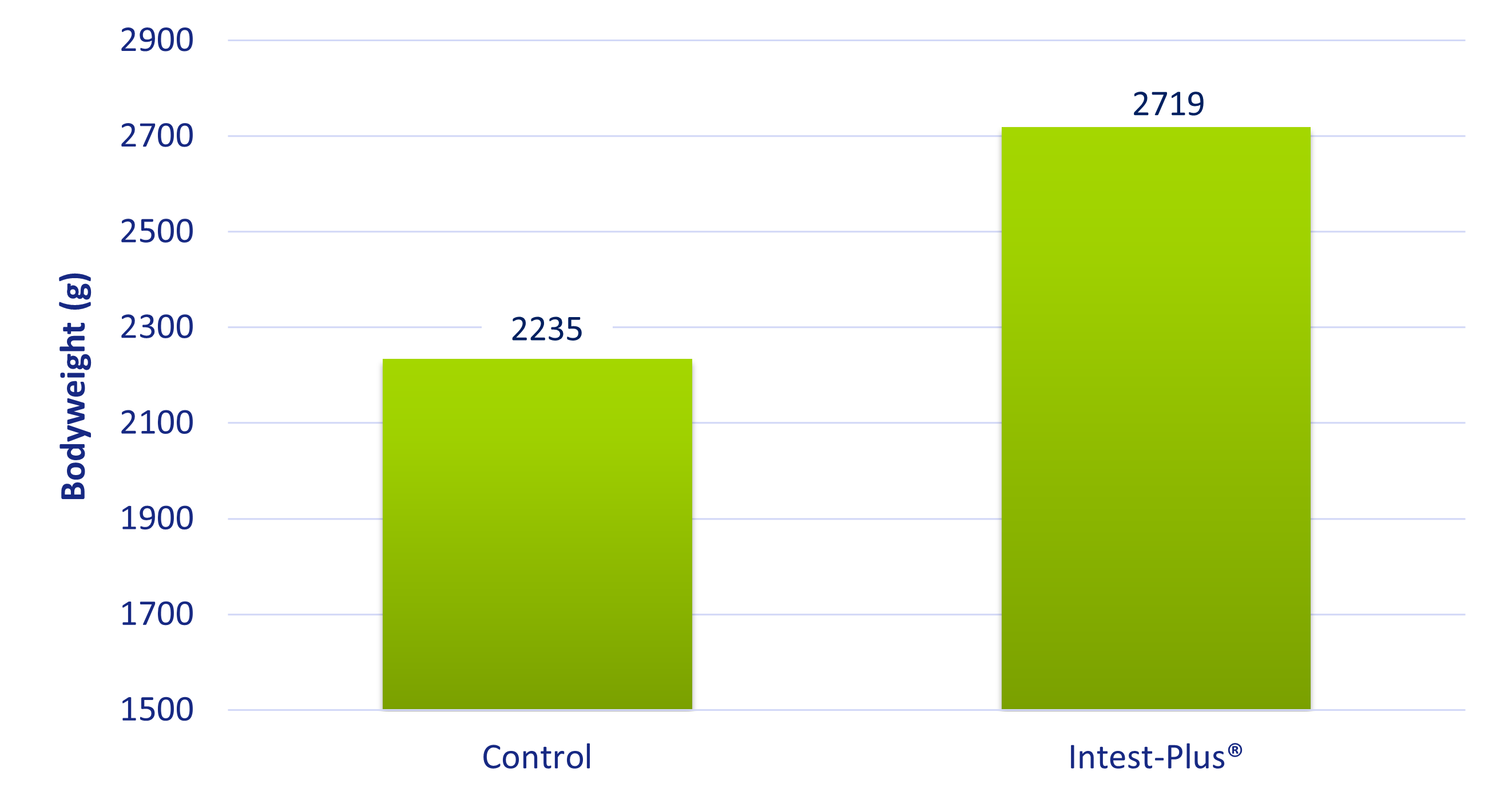 Figuur 2: Intest-Plus® verbetert significant het lichaamsgewicht van vleeskuikens (P <0,001).