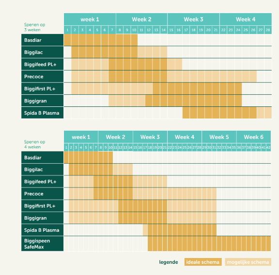 25.06.2025_Nieuwsbrief_AN