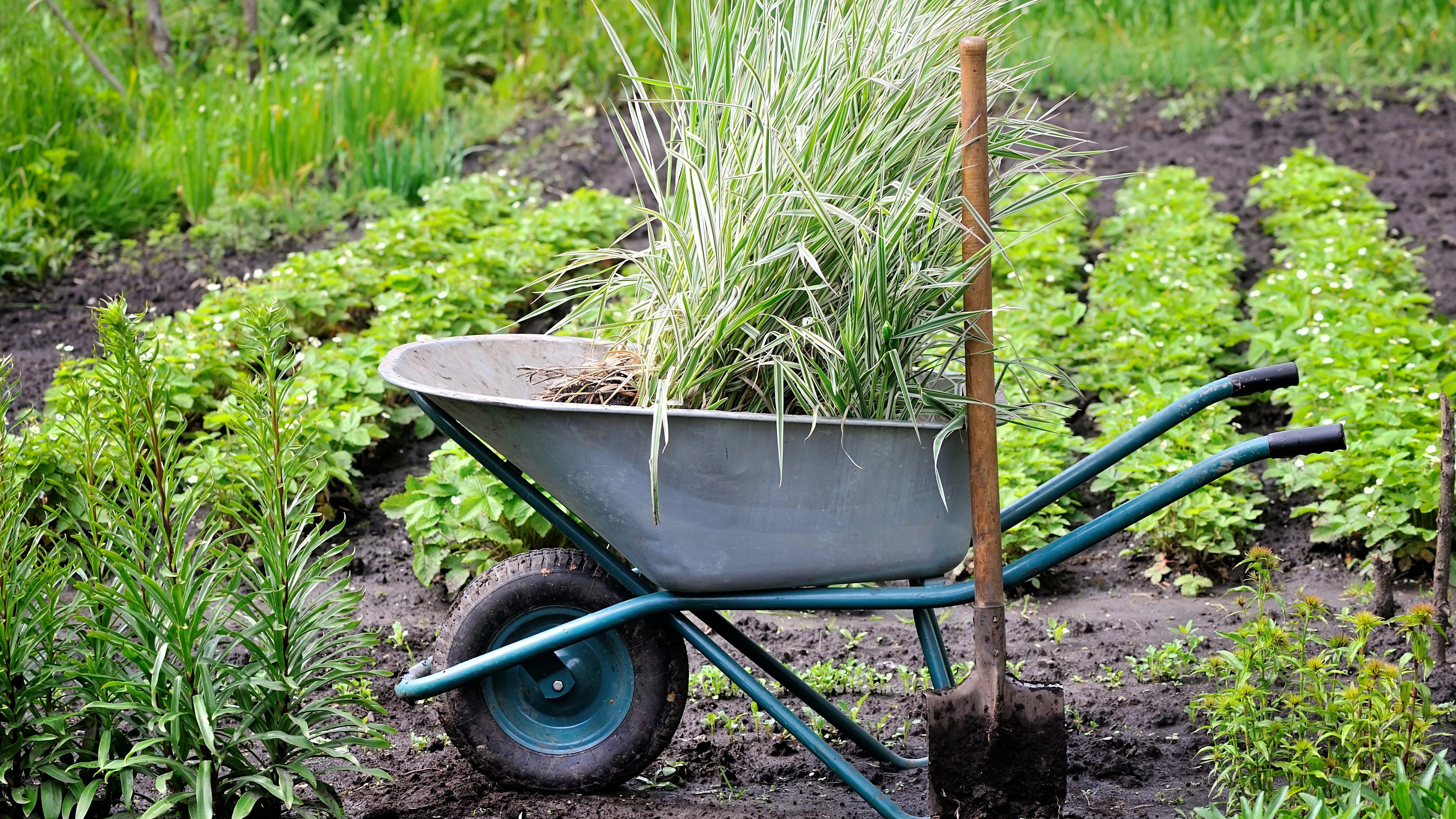 Alles voor je tuin aveve kruiwagens