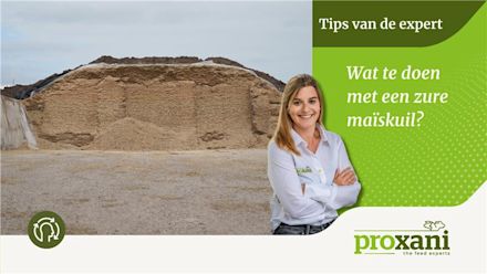 30.05.2025_Nieuwsbrief_AN_Maisverzuring