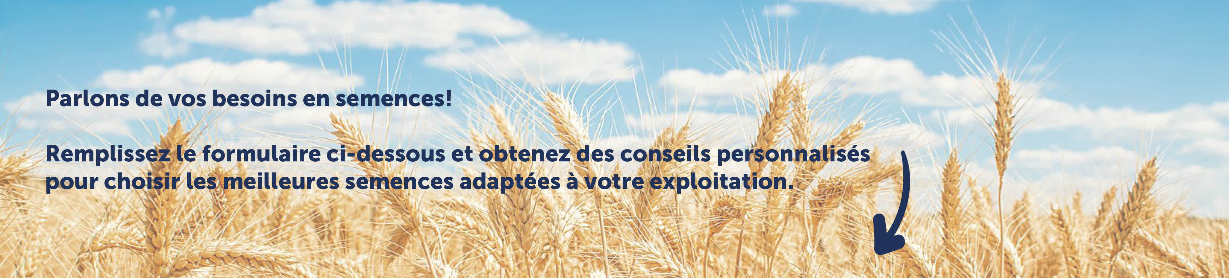 Hero LP growth hack cerales walagri