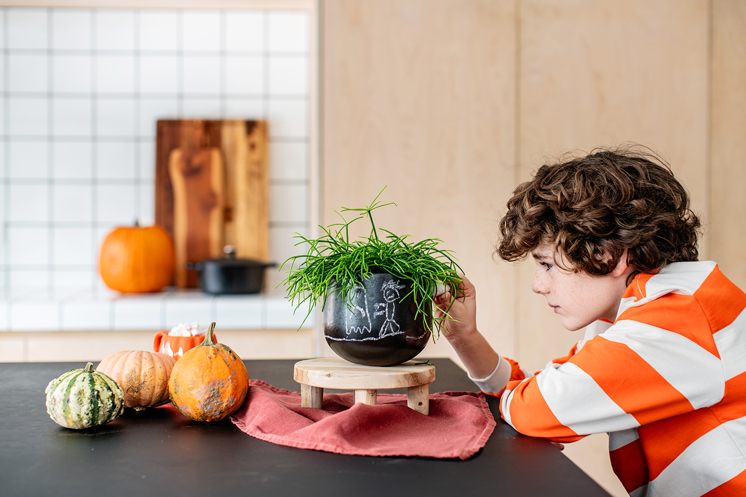 Guide d’entretien pour le cactus corail (Rhipsalis cashero) | Aveve