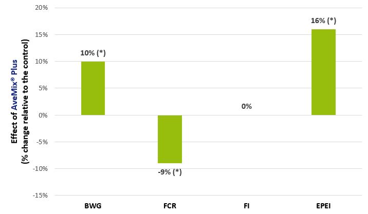 AveMix® Plus improves the body weight gain (BWG), feed conversion ratio (FCR) and European Production Efficiency Index (EPEI) of broilers without increasing feed intake (FI).