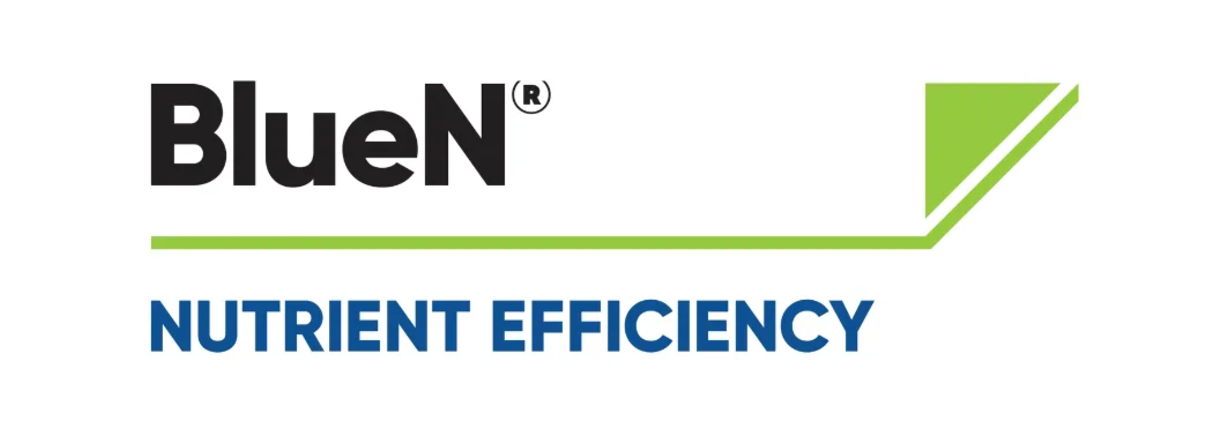 Sanac BlueN 968x345px