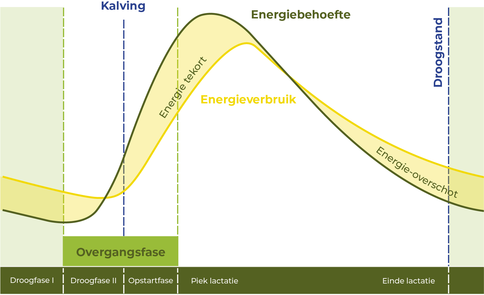 Een grafiek die de lactatie van een koe weergeeft