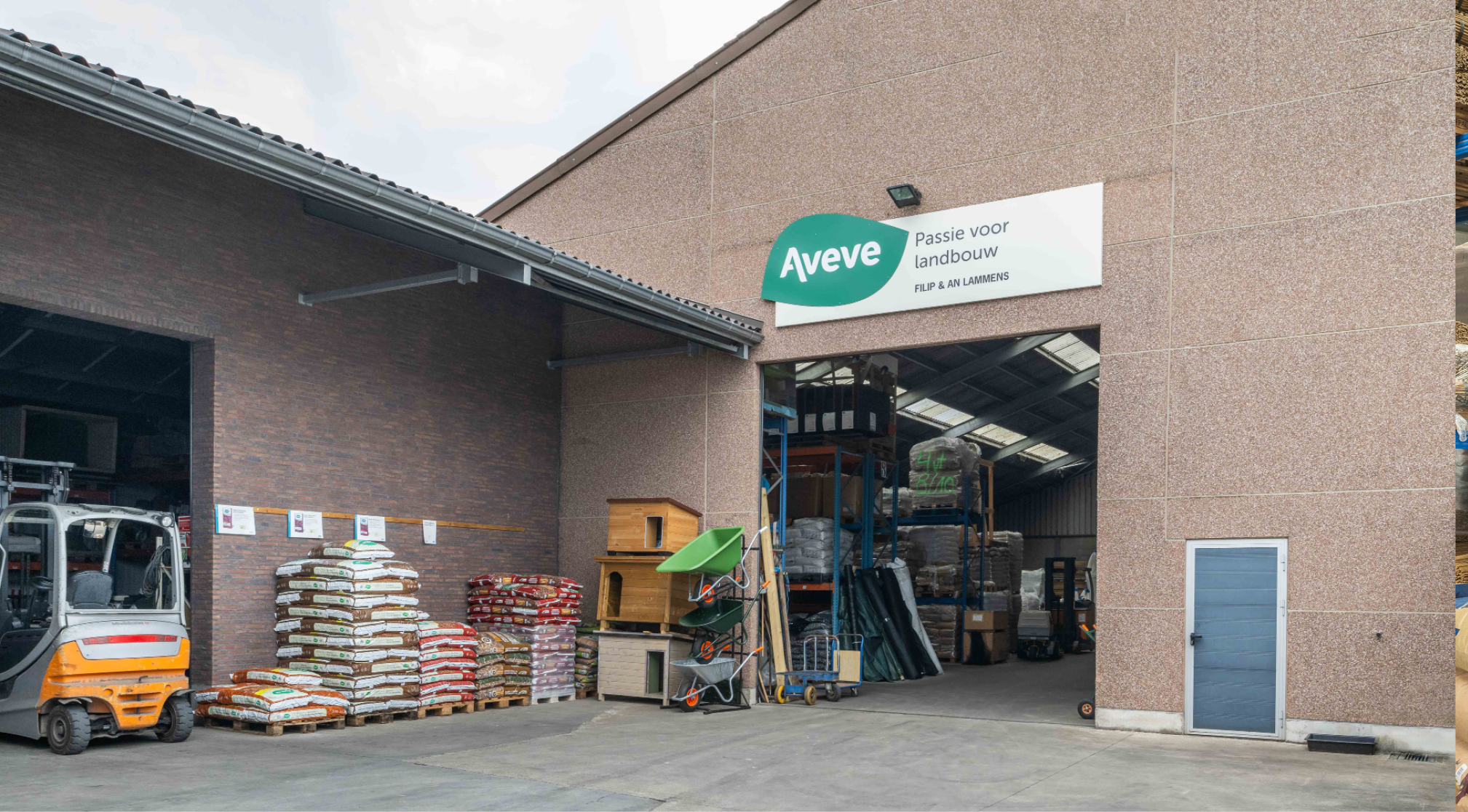 LAMMENS FILIP 2 968x536px