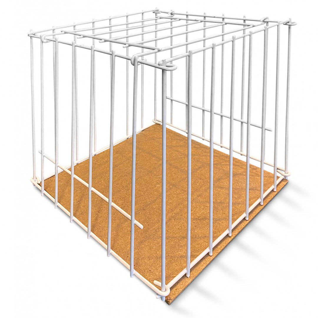 tentoonstellingsmand