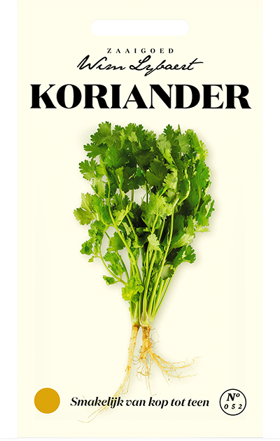 Koriander